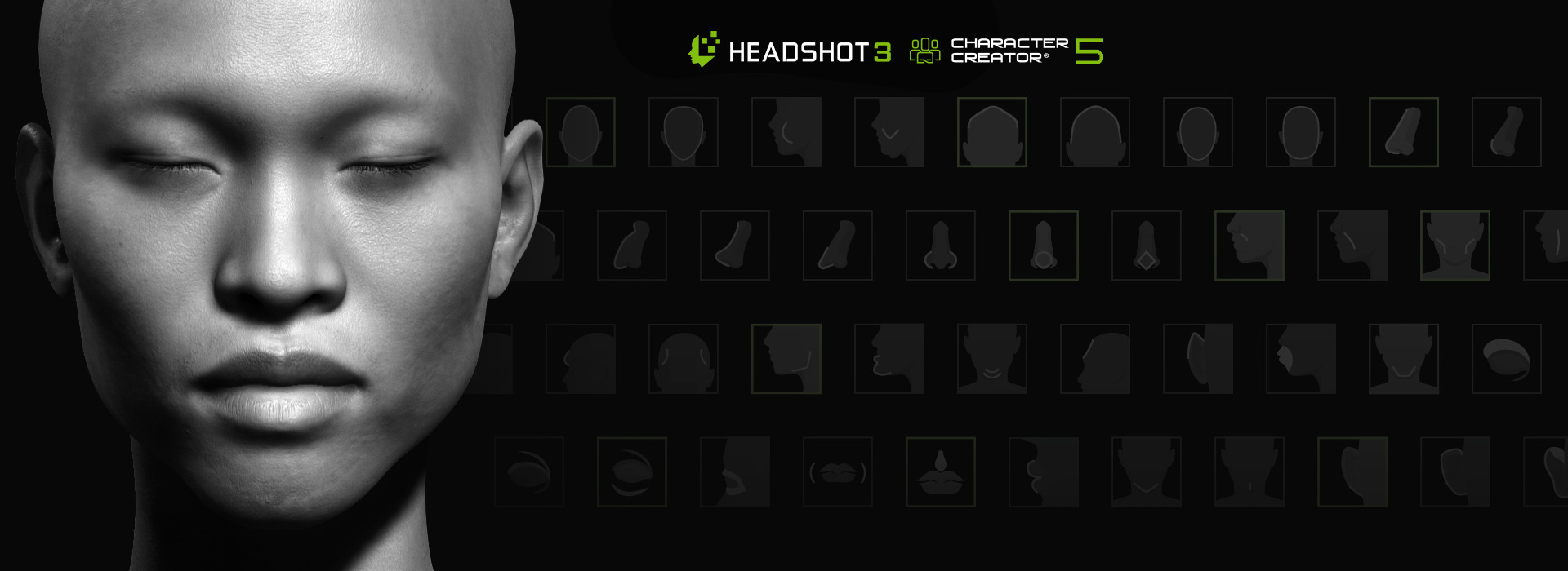 Headshot Morph 1000