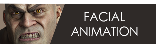 Facial Animation