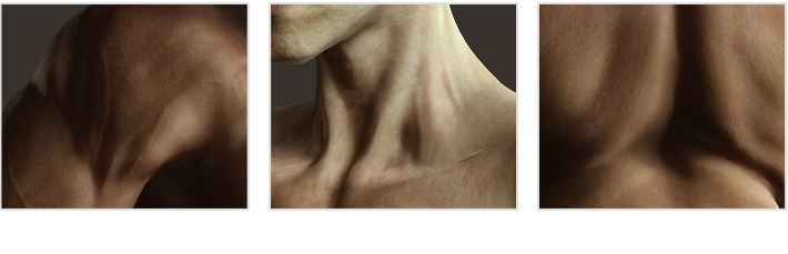 make human skin-muscles