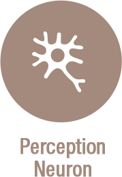 hand and body mocap animation - solution perception neuron