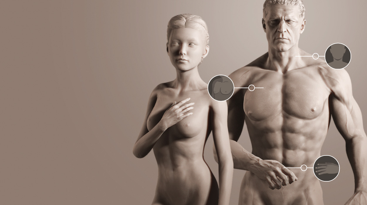 body morph-digital human