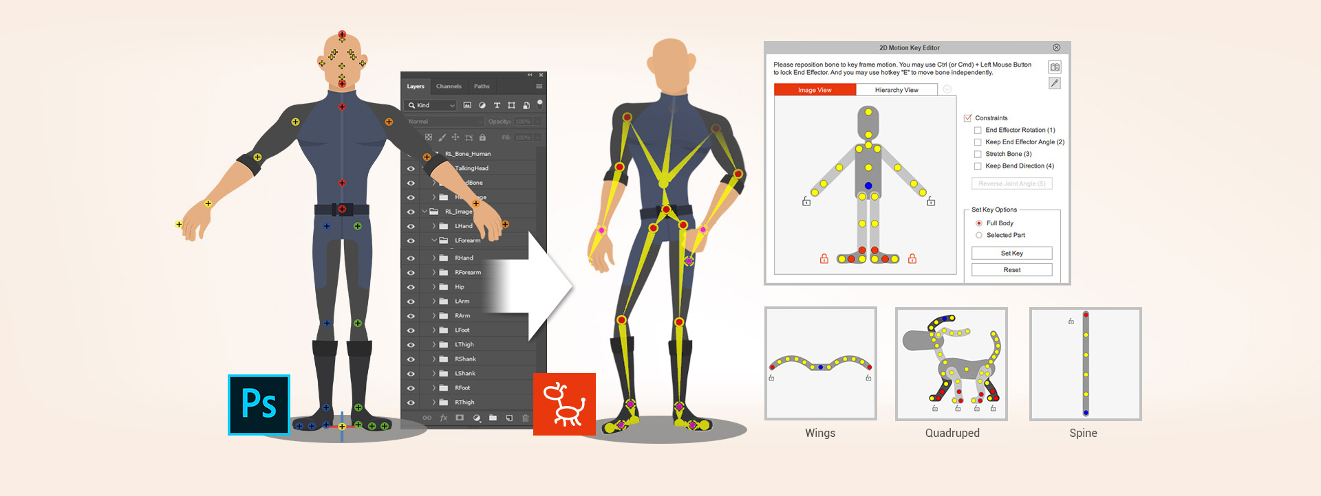For 2D character designers to create animated characters from template